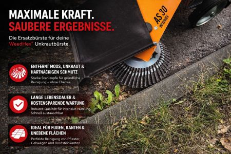 Preview: Ersatzbürste für AS-Motor AS 30 Weedhex 140 160 Tellerbürste G07323029 E-WeedHex